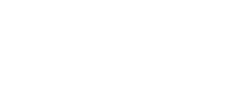 dealereprocess