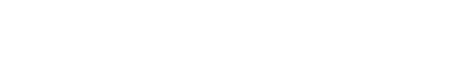 dealerinspire